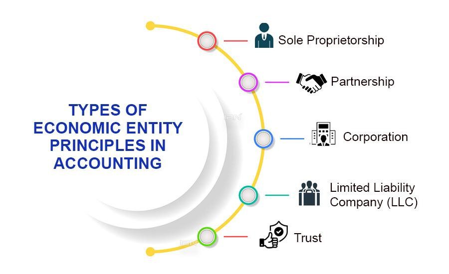 types of economic entity principle in accounting