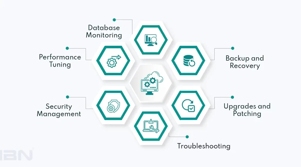 Virtual Database Management Services – IBN Technologies