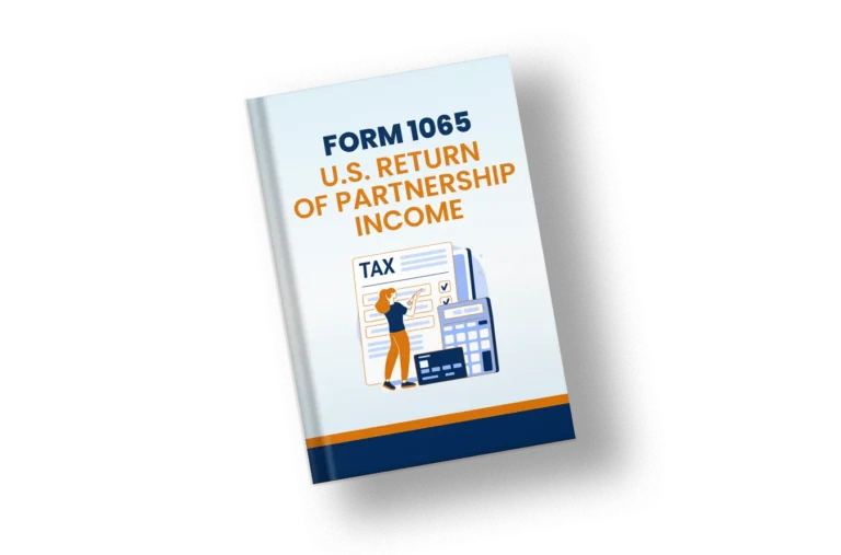 USA Tax Form 1065 PDF